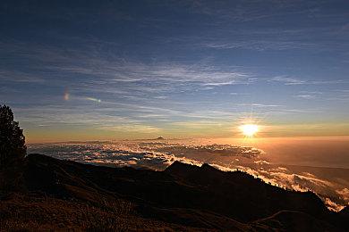 顶级合作生存建造游戏《非生物因素》发布正式版 Steam在线人数达2万